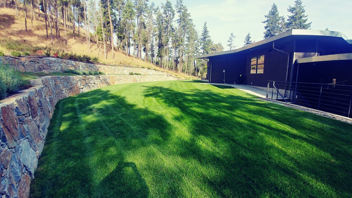 324 Clifton backyard_edit Mowed Lawn